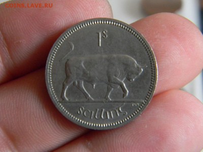 шиллинг Ирландия 1962г - DSCN0102.JPG