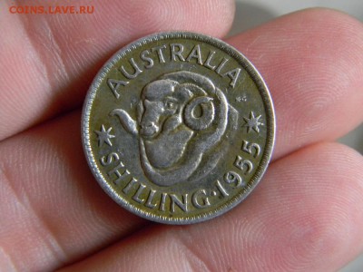 шиллинг Австралия 1955г - DSCN0094.JPG
