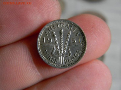 3 пенса Австралия 1951г - DSCN0100.JPG