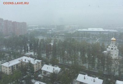 делает - прямо сейчас !!! - IMG_1383.JPG