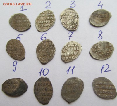 чешуйки на определение и оценку - 13888302