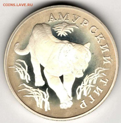1 рубль 1993. Амурский Тигр. До 10.05 - 29