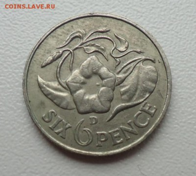 ЗАМБИЯ 6 ПЕНСОВ 1964 ДО 15.05 22:00 МСК - DSC04299.JPG