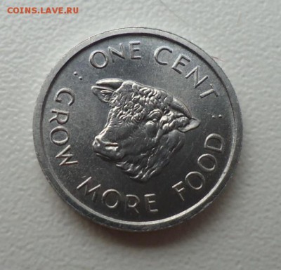 СЕЙШЕЛЫ 1 ЦЕНТ 1972 ФАО ДО 15.05 22:00 МСК - DSC04309.JPG