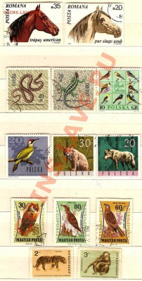 фауна.Сборка.До 17.02.2011г. - Изображение 672
