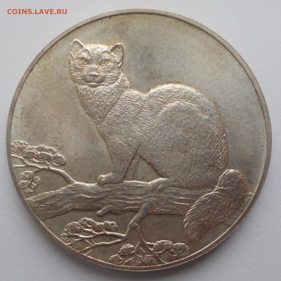 3 рубля 1995 Соболь, серебро, оценка - DSCN6429.JPG