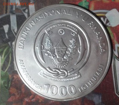 РУАНДА - 1000 франков 2007 года "АФРИКАНСКИЕ СЛОНЫ" - SAM_3502.JPG