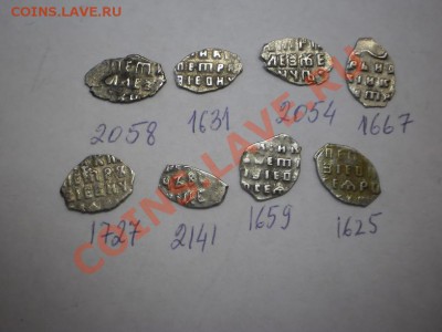 Петр, 8 шт.,до 19.02 в 21:00 Москвы - 2-4.JPG