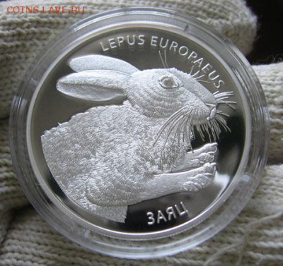 Беларусь, 20 рублей Заяц до 13.05 22.00 - 1