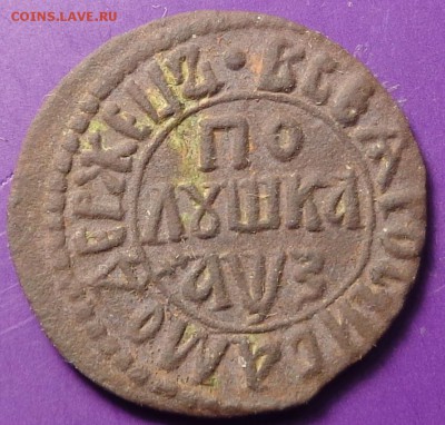 Полушка 1707 года. Оценка. - DSC02612.JPG