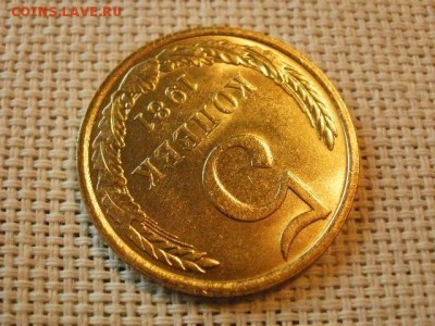 5 копеек 1981 года UNC Не Наборная! + Бонус! до 12.05 - P6170164.JPG