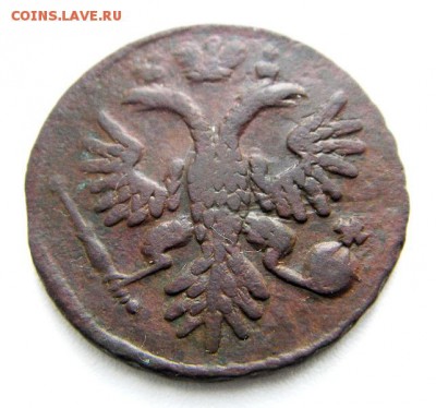 Деньга 1735 до 12.05.2017 в 22-00 мск. - IMGP0121.JPG