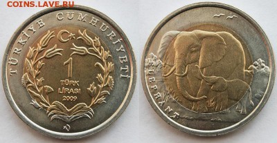 Биметалл!! Турция 1 лира 2009 Слон - 0_4fefd_ccd5107_XL