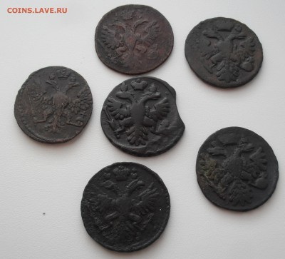 Лот денга 1731, 1735, 1737 (выкус), 1738, 1739, 1748 года. - SAM_0226.JPG