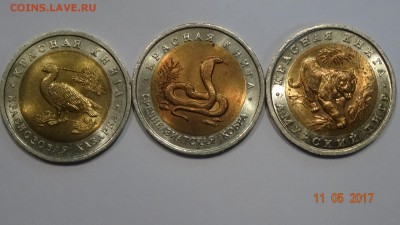 10руб. 1992год красная книга казарка кобра тигр до 16.04. - DSC01793.JPG