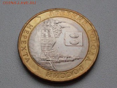 НЕРЕХТА  С  ЗАЗОРОМ - SDC12981.JPG