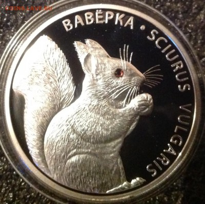 Белка 20 рублей 2009 до 15.5.17 в 22.00 - IMG_8599.JPG