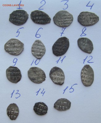 чешуйки на определение и оценку - 12,05,17 007
