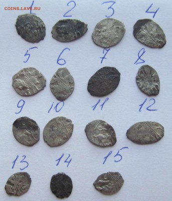 чешуйки на определение и оценку - 12,05,17 008