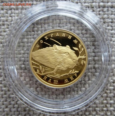 50 рублей 2008 года, буквы ММД, proof "речной бобр" золото - 9.JPG