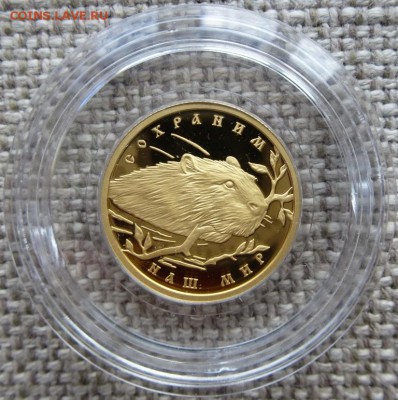 50 рублей 2008 года, буквы ММД, proof "речной бобр" золото - 10.JPG