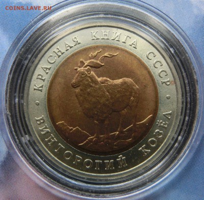 Красная Книга 1991-1994 - CIMG3605.JPG