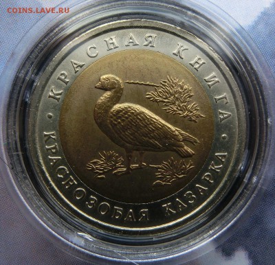 Красная Книга 1991-1994 - CIMG3606.JPG