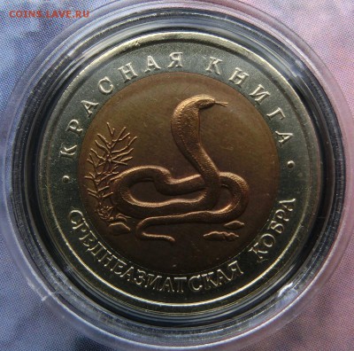 Красная Книга 1991-1994 - CIMG3607.JPG