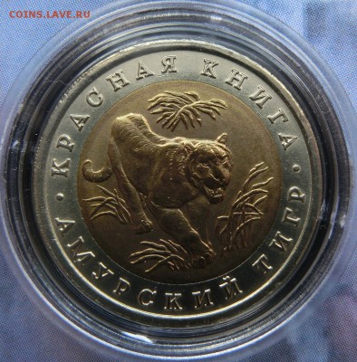 Красная Книга 1991-1994 - CIMG3608.JPG