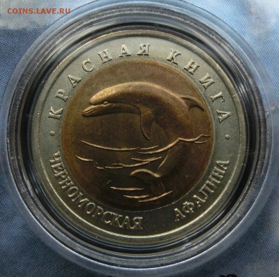 Красная Книга 1991-1994 - CIMG3611.JPG