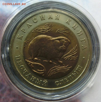 Красная Книга 1991-1994 - CIMG3615.JPG