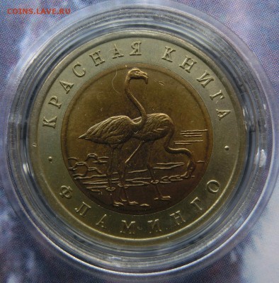 Красная Книга 1991-1994 - CIMG3618.JPG