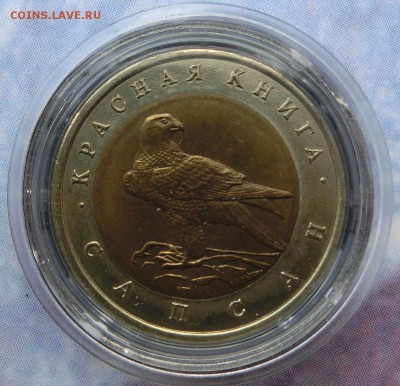 Красная Книга 1991-1994 - CIMG3619.JPG