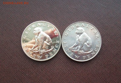 Гибралтар 25 пенсов 1971 Серебро Обезьяна - 100_7566