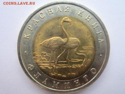Куплю 5 монет Красная книга за 1994 г - IMG_3219.JPG