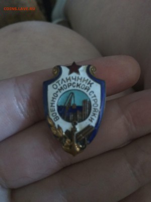 Значок,  помогите с оценкой. - 1494746383829-1397912373