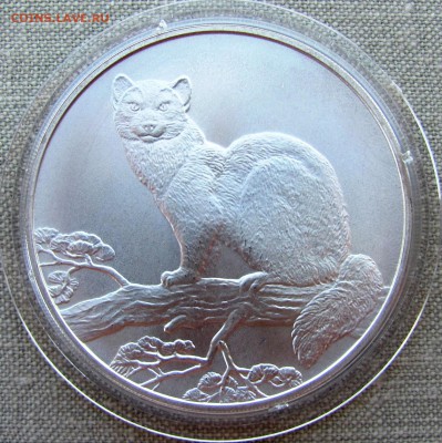 3 рубля 1995 года. Соболь. Ag. До 17.05.11 22-00 МСК - IMG_8202.JPG