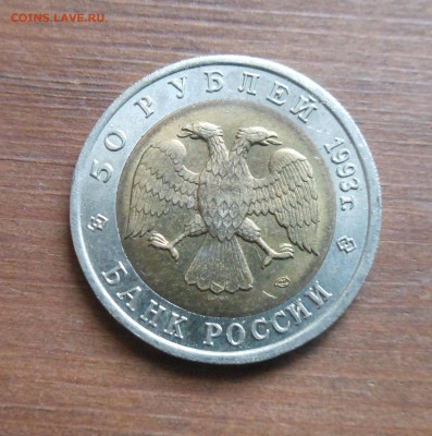 КК 1993 туркменский зублефар до 16.5.17 22-00 - DSCN1548.JPG