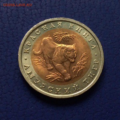 10 рублей 1992 год - Амурский тигр. Стоимость - n5tQ6dDrT0c