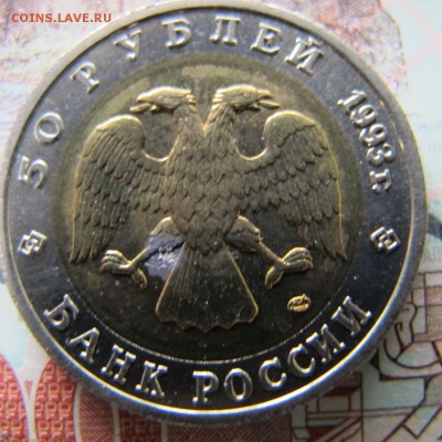 КРАСНАЯ КНИГА - 1993 год, до 20 мая (лот №2) - IMG_5373.JPG
