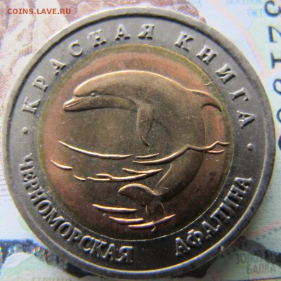 КРАСНАЯ КНИГА - 1993 год, до 20 мая (лот №2) - IMG_5368.JPG