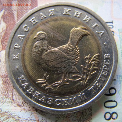 КРАСНАЯ КНИГА - 1993 год, до 20 мая (лот №2) - IMG_5364.JPG