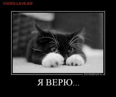 ДЖОН ШЕМЯКИН - image