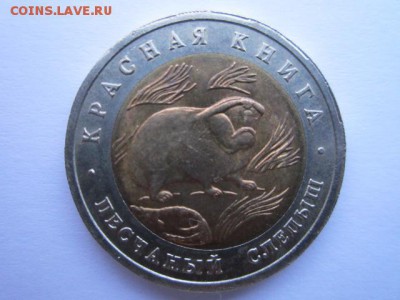 с 200 кк 1994 Слепыш до 21.05.2017 в 22:30 - IMG_3439.JPG