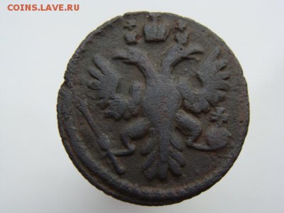 Полушка 1735 год. Перечекан, гурт узорный - 0600-8.JPG