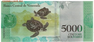 Венесуэла 5000 боливаров 2016 до 15.05.17 в 22.00мск (Д828) - 1-вен5000