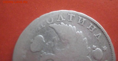 поАлтина 1819   18.05 17 - IMG_6562