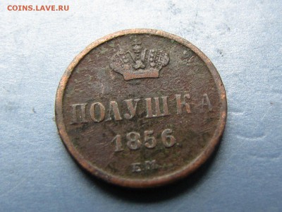 полушка 1856 ем. Короткий! (до 18.05.2017  22 30 мск) - IMG_3292.JPG