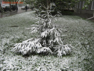 ФОТО - просто фото. Те что получились удачными. - IMG_3651[1].JPG