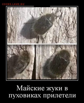 юмор - demotрррivi